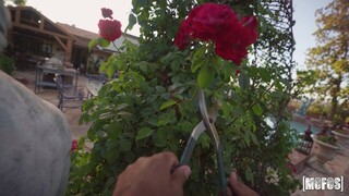 Squirtin' in the Pool - лучшее порно без регистрации 1PORNO.NET