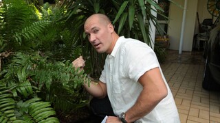  Trimmed Latina Gets Doggystyle  - бесплатное порно на 1PORNO.NET