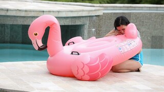 Poolside Blowjob with Sexy Brunette Nikki Fox - лучшее порно без регистрации 1PORNO.NET