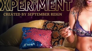 September Reign Gets Anal - Big Natural Tits & Sex Toys - лучшее порно без регистрации 1PORNO.NET