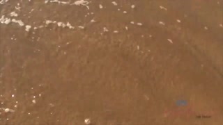 Blonde gf Peyton rides hard as the sun goes down - бесплатное порно на 1PORNO.NET