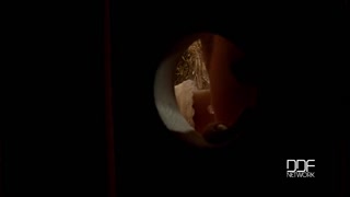 Barnyard Delight with Medium Tits Bonnie Shai - лучшее порно без регистрации 1PORNO.NET