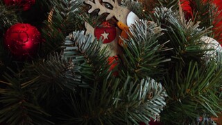 4 Dudes, 3 Girls: A Fabulous Christmas Gangbang - лучшее порно без регистрации 1PORNO.NET