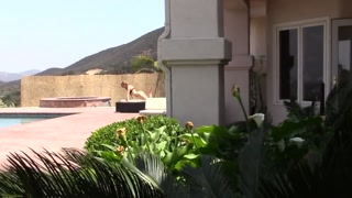 Deepthroat In The Pool: A Private Affair - бесплатное порно на 1PORNO.NET